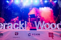 PFL_8861 (Kopiowanie)